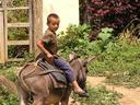Boy on donkey in northern Peru.